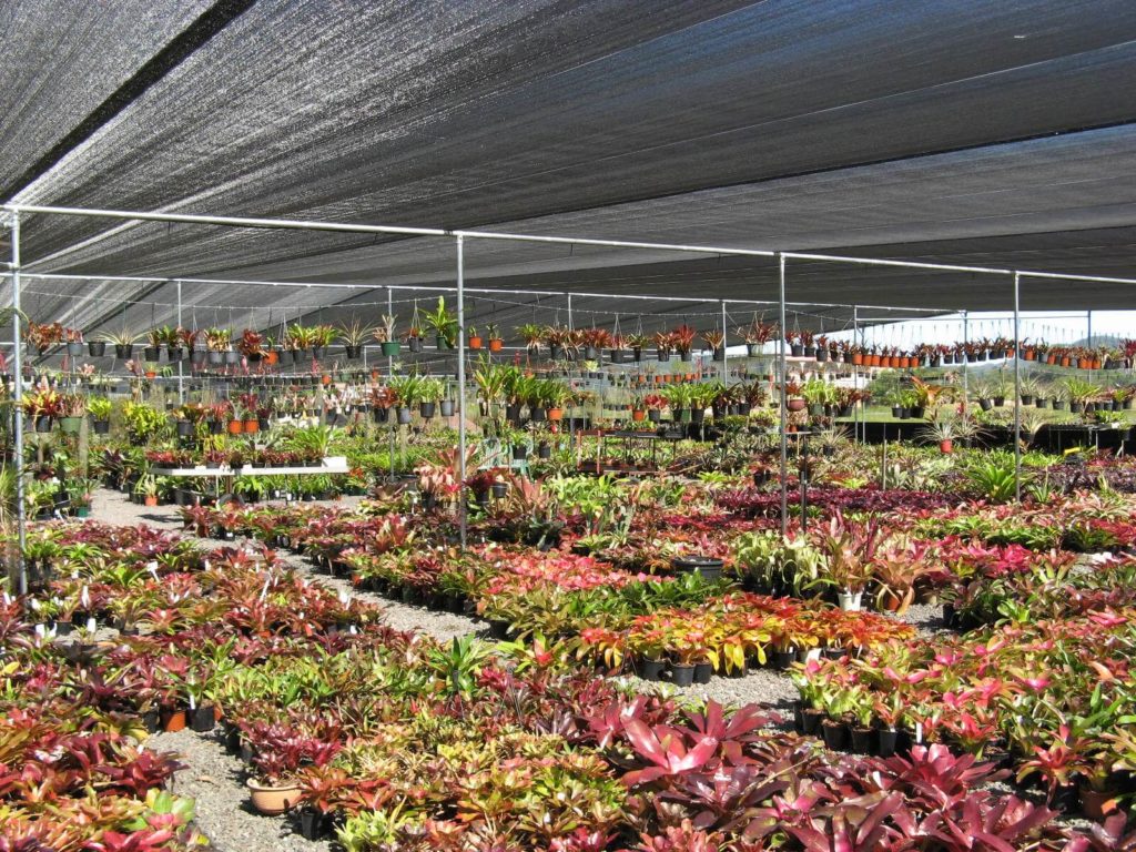 Wide Span Shadehouse Greenhouse