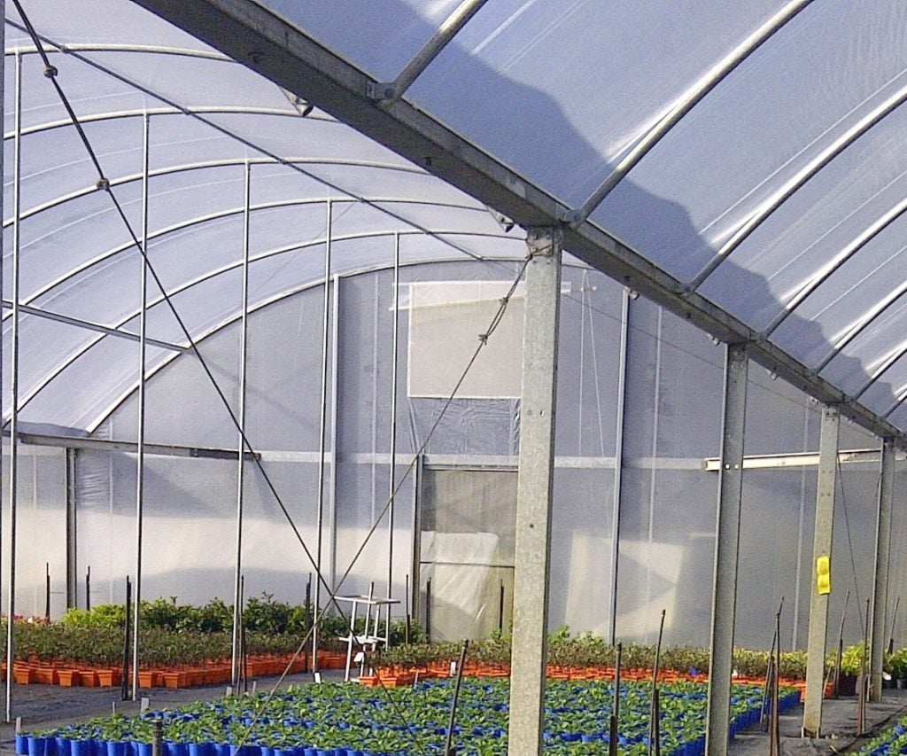 Gutter Connected Poly Tunnelhouse Hothouse
